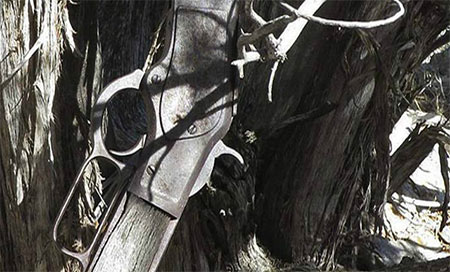 Hallan un rifle de más de 100 años recostado en un árbol 